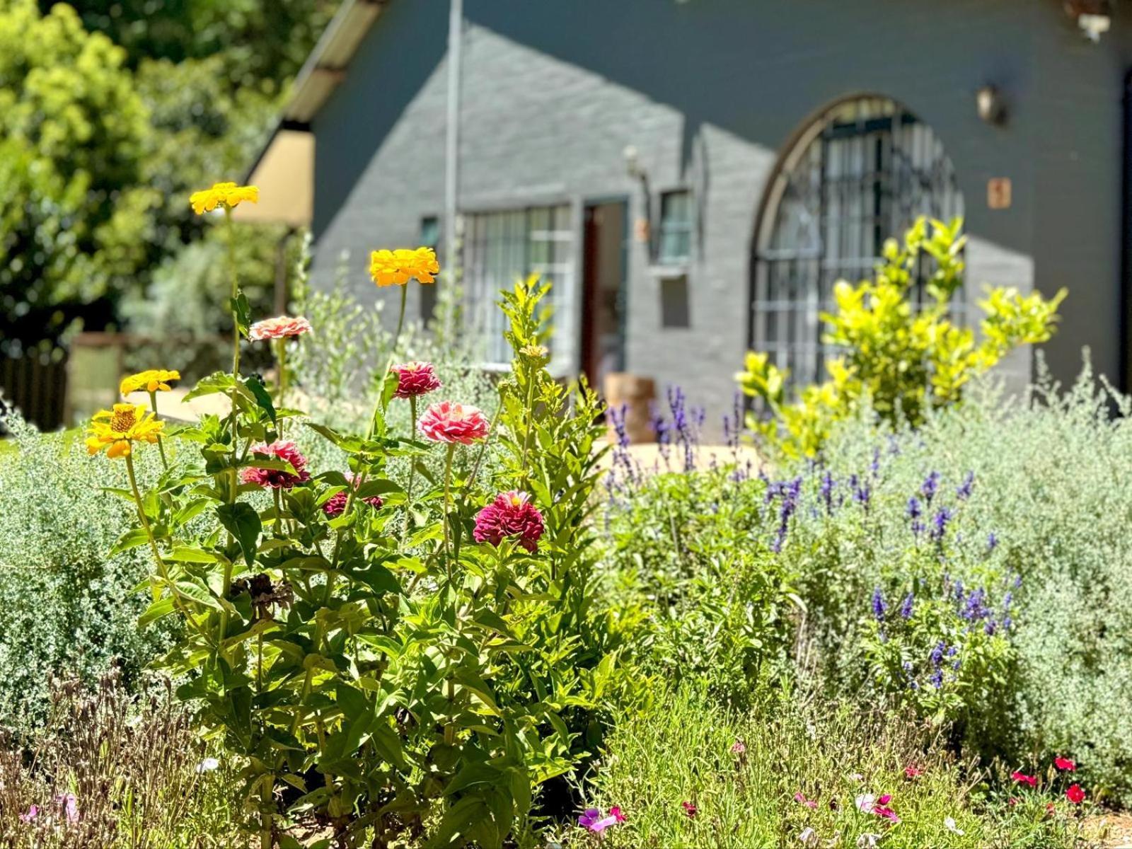 Fiddler'S Green Magoebaskloof Eksteriør billede